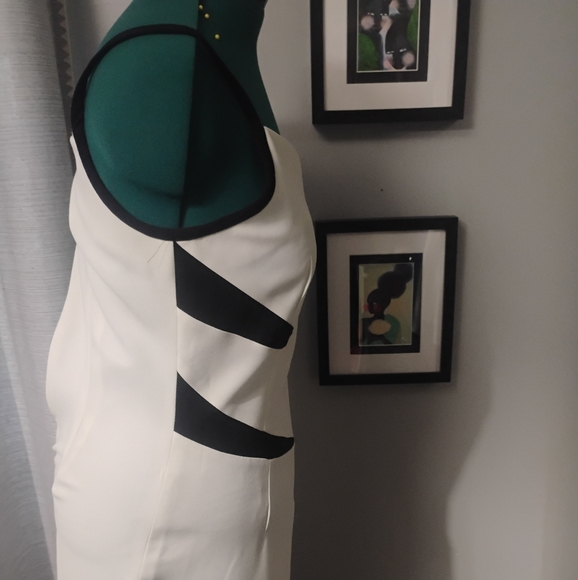 Ellen K Ivory & Black Tiger Stripe Dress Sz 10 - Picture 4 of 11